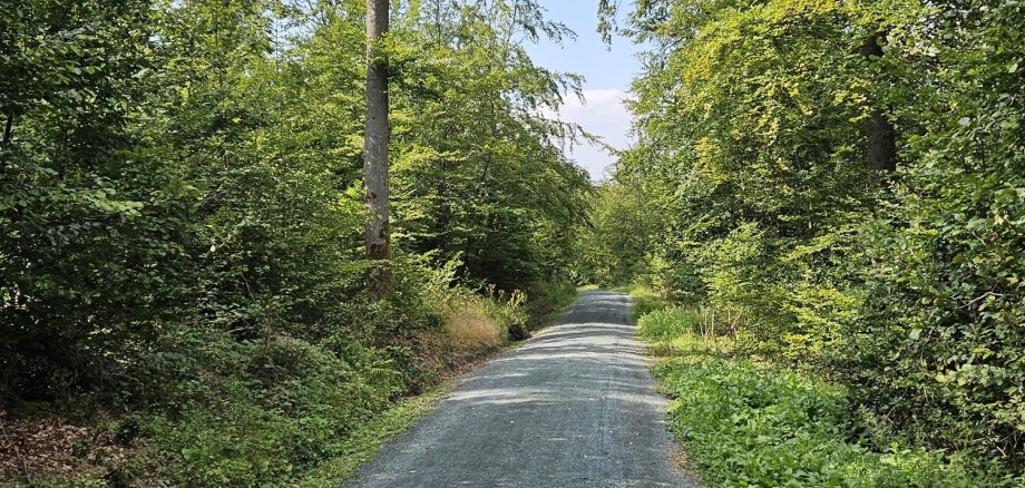 Jammerhecken-Rundweg Rod am Berg